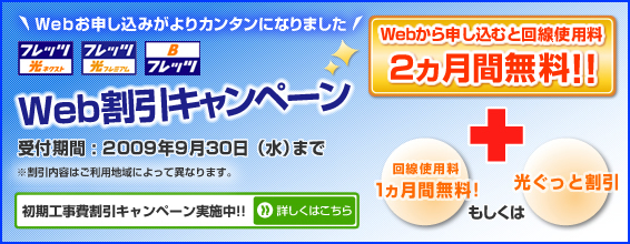 Web�����L�����y�[�� Web����\�����ނƉ���g�p��2���������I