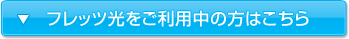�t���b�c���������p���̕��͂�����