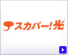 �X�J�p�[�I��