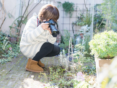 写真：【コラム】写真映えする花の撮影法