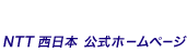 ���C���^�[�l�b�g�ڑ�(�����)��NTT�����{�̃t���b�c��