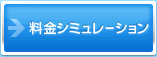 �G���A�m�F�E�����V�~�����[�V����