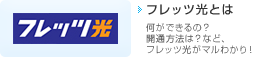 �t���b�c���Ƃ�