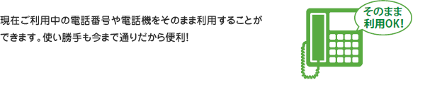 現在ご利用中の電話番号や電話機をそのまま利用することができます。使い勝手も今まで通りだから便利!