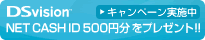 �t���b�c����DSvision���y�������I�L�����y�[�����{���INET CASH ID 500�~���v���[���g�I