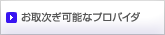 ���掟���\�ȃv���o�C�_