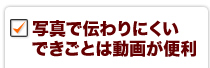 写真で伝わりにくいできごとは動画が便利