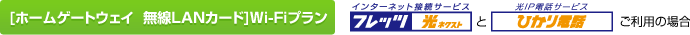 [�z�[���Q�[�g�E�F�C  ����LAN�J�[�h]Wi-Fi�v�����F�t���b�c ���l�N�X�g(�C���^�[�l�b�g�ڑ��T�[�r�X)�ƂЂ���d�b(��IP�d�b�T�[�r�X)�����p�̏ꍇ