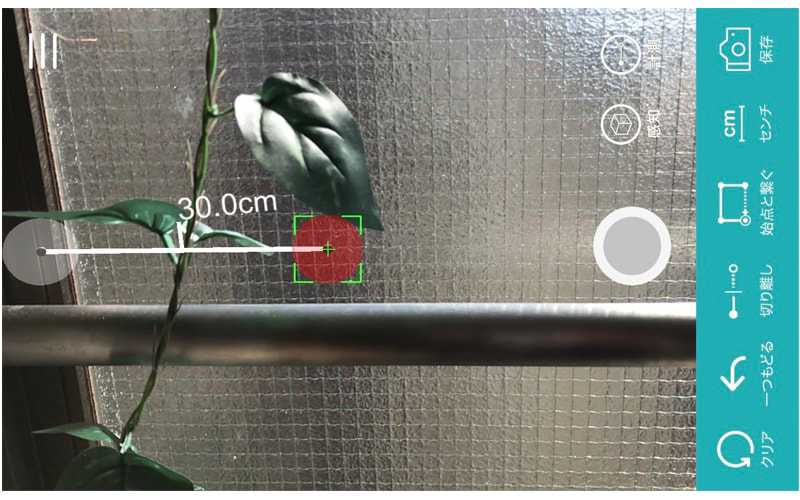 画像：画面に映っている葉っぱの長さが「30.0cm」と表示されている様子