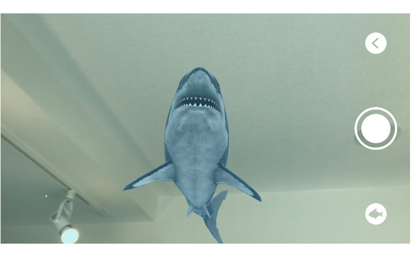 画像：部屋の中でサメが泳いでいる画面
