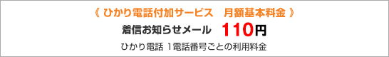 ひかり電話付加サービス 月額基本料金 着信お知らせメール 100円 ひかり電話 1電話番号ごとの利用料金