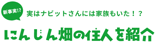 新事実!?実はナビットさんには家族もいた！？にんじん畑の住人を紹介