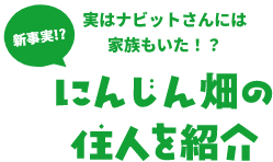 新事実!?実はナビットさんには家族もいた！？にんじん畑の住人を紹介