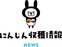 にんじん収穫情報 NEWS