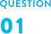 QUESTION 01