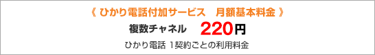 ひかり電話付加サービス 月額基本料金 複数チャネル 220円 ひかり電話 1契約ごとの利用料金