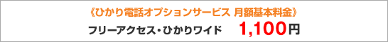 ひかり電話オプションサービス 月額基本料金 フリーアクセス・ひかりワイド 1,000円