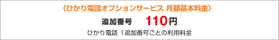 ひかり電話オプションサービス 月額基本料金 追加番号 110円 ひかり電話 1追加番号ごとの利用料金