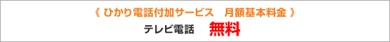 ひかり電話付加サービス 月額基本料金 テレビ電話 無料