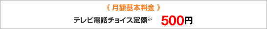 《月額基本料金》 テレビ電話チョイス定額※ 500円