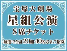 宝塚大劇場星組公演S席チケット 抽選で合計20組40名さまご招待