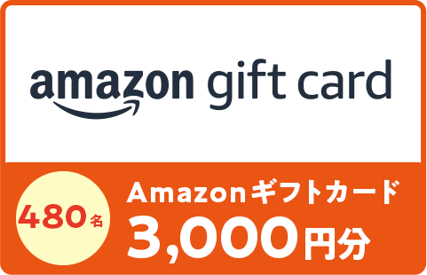 480名 Amazonギフトカード 3,000円分